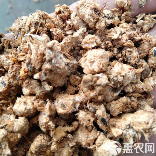 菌渣重生 工厂化金针菇菌渣的循环培植之路