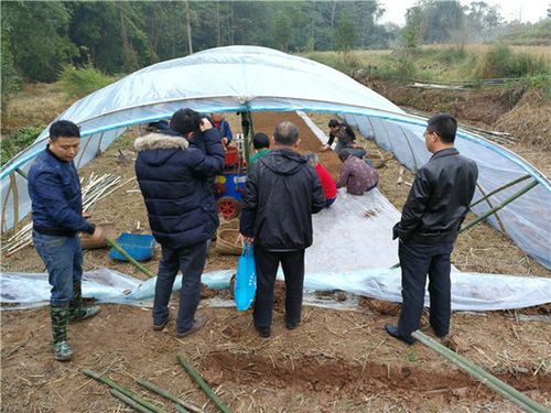 泸县科知局考察调研玉蟾街道办龙朝村食用菌培植工作